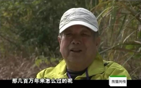 豆瓣9.5高分，北大教授與“國寶”列傳