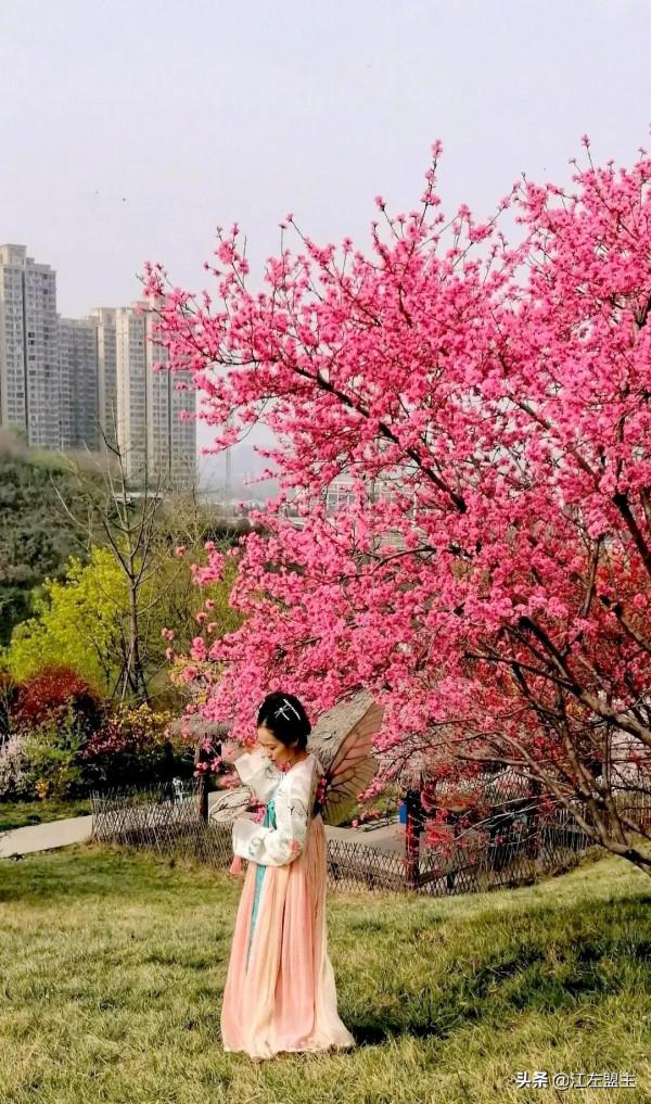 期待春天來了的時候，和你一日看盡長安花