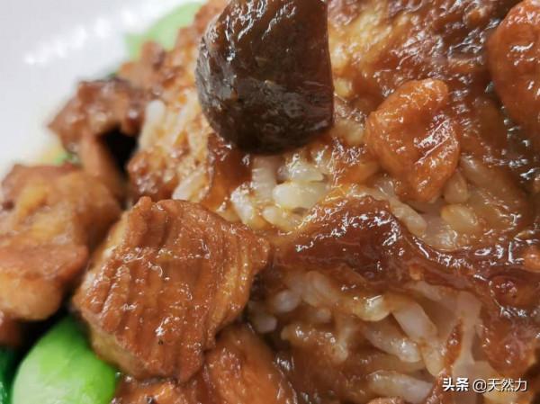 滷肉飯商業版的詳細教程，學會可以去開店，肥而不膩、味道絕了