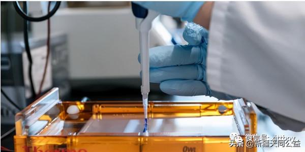 2650萬美元發現一個治療HIV的新方法