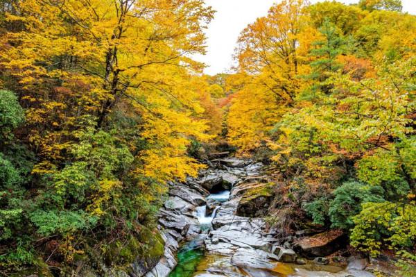 黑熊溝——四川光霧山