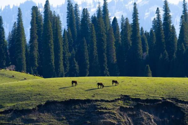 一年只開5個月！新疆最美公路通車在即，一天四季，濃縮震撼之美