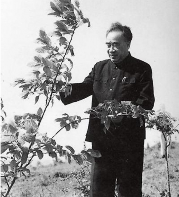 1950年，在一地主家搜出一張欠條，落款是朱德，朱德：讓他來北京