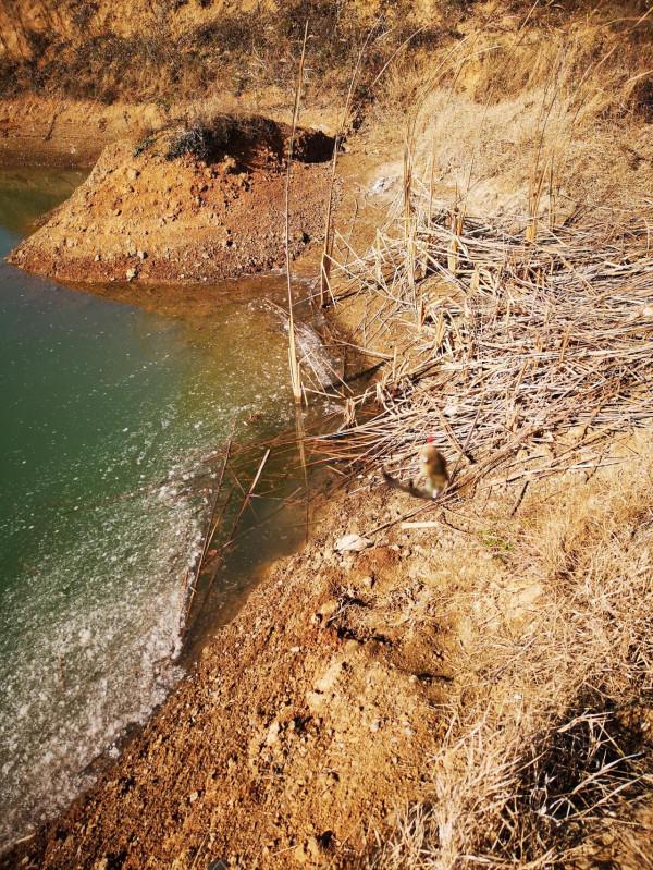 女釣手冬釣養成記