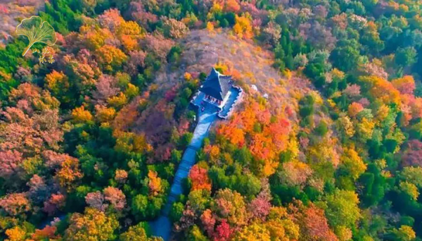 【玩轉懷柔】2021懷柔賞秋攻略出爐！一個字，絕！