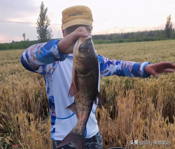 收費十元可以釣大魚,魚塘老闆聰明反被聰明誤,這次賠大了 收費十元可以釣大魚,魚塘老闆聰明反被聰明誤,這次賠大了