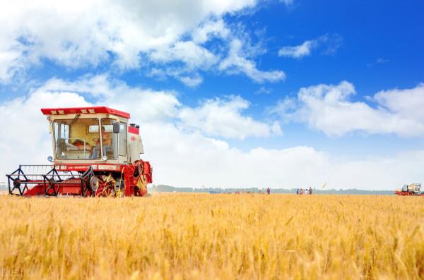 康師傅泡麵漲價12&percnt;，其他日用品會漲價嗎？工資什麼時間才漲？