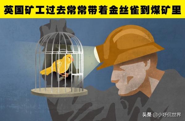 雖然聽起來非常奇怪,但卻是真實情況的8個歷史事實 雖然聽起來非常奇怪,但卻是真實情況的8個歷史事實