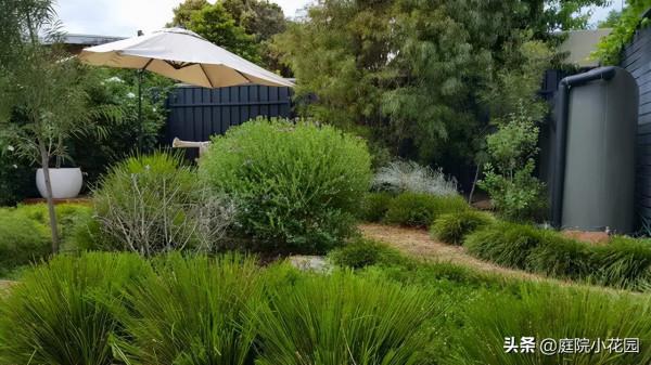 庭院如此高冷，cool