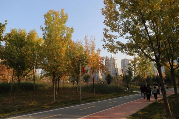 深秋季節的廟底溝考古文化公園