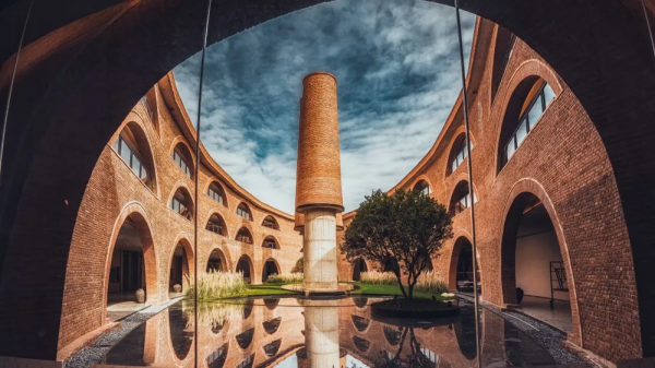 曾破吉尼斯世界紀錄！80萬畝花海齊綻放！這裡藏著國內最早的春天