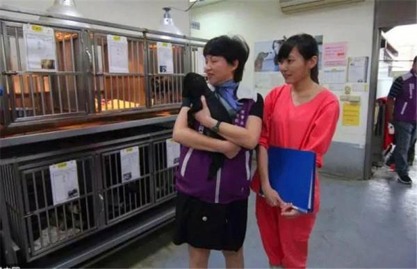 “最美獸醫”簡稚澄：安樂死700多條流浪狗，最後一針打給自己