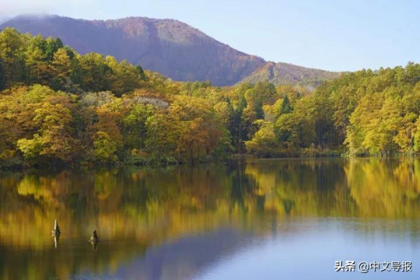 長野斑尾高原：金秋登高，滌盪肺腑
