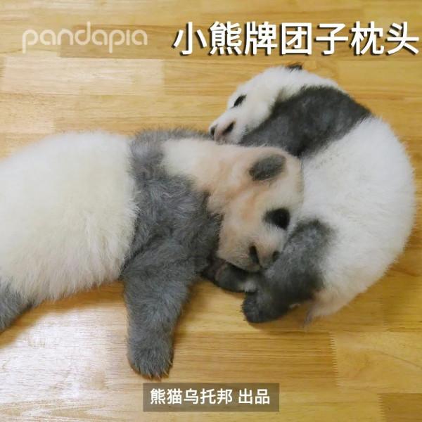 國寶測評！小熊牌枕頭到底有多軟