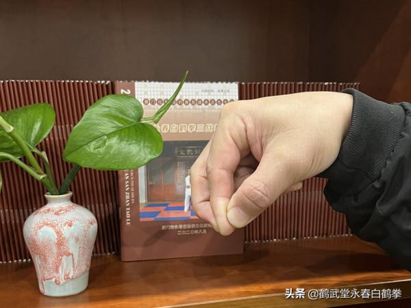 永春白鶴拳基本手型之勾、爪 永春白鶴拳基本手型之勾、爪
