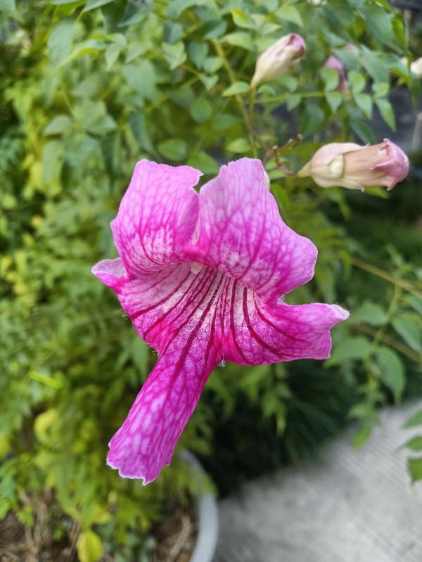 2021.11.02 2021.11.02