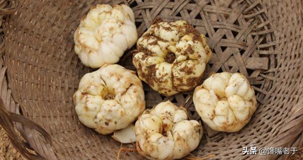 入冬後，如果條件允許，女人要多吃這6樣食物，面如桃花顯年輕