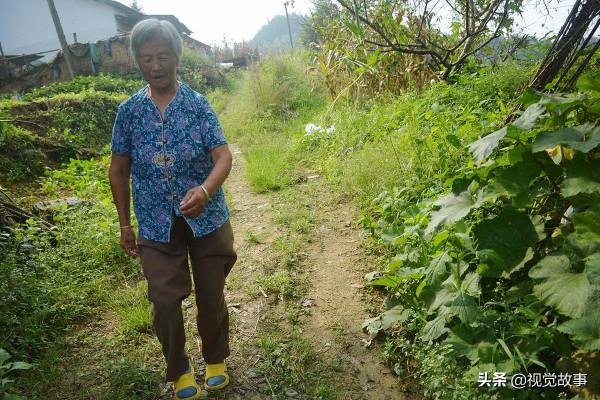 4個女兒出嫁,72歲奶奶和老伴分成2個“家”,看生活成啥樣 4個女兒出嫁,72歲奶奶和老伴分成2個“家”,看生活成啥樣