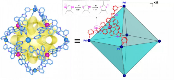 中山大學蘇成勇教授課題組超分子籠限域催化研究進展 中山大學蘇成勇教授課題組超分子籠限域催化研究進展