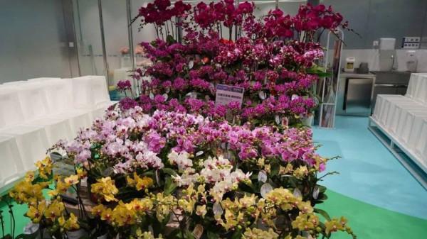 十億消費者,誰是下沉市場的孤勇者? 十億消費者,誰是下沉市場的孤勇者?