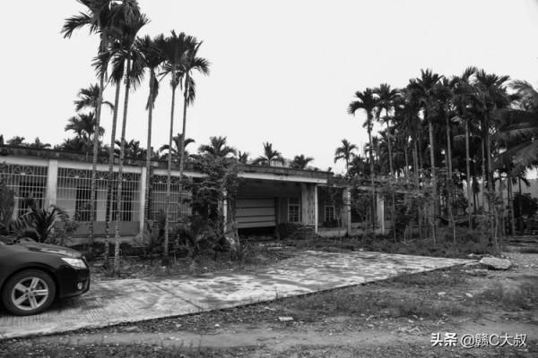 40年的記憶——海南國營乘坡農場行