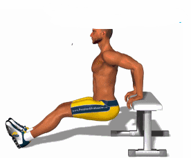 收藏！核心肌群的9個鍛鍊動作，動圖指導