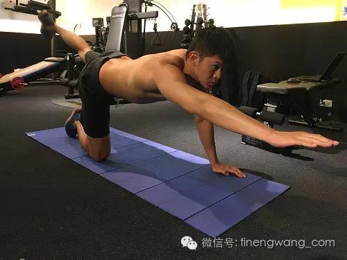 經典核心訓練幫助深蹲更穩定