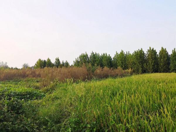 摩托周邊旮旯遊——尋朱元璋出家之於皇寺 摩托周邊旮旯遊——尋朱元璋出家之於皇寺