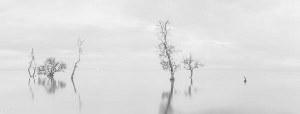 「黃帝內經&bull;亂彈」第十期&bull;你的人生失去了什麼