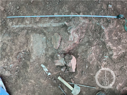 重慶合川發現恐龍化石 初步判斷為馬門溪龍類 重慶合川發現恐龍化石 初步判斷為馬門溪龍類