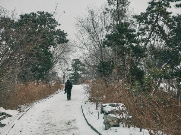 同價位的競爭，一加、小米的攝影作品