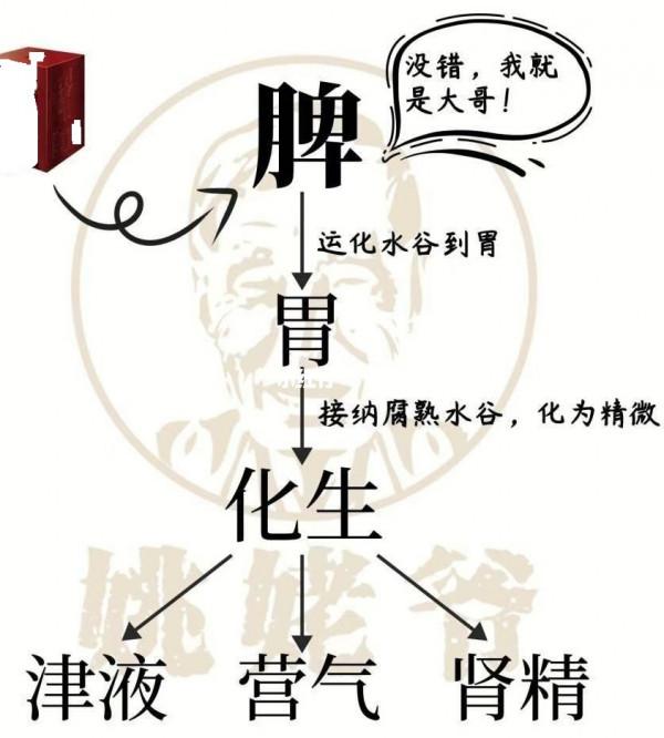 用於脾虛的十九種中成藥，辨證施治效果好