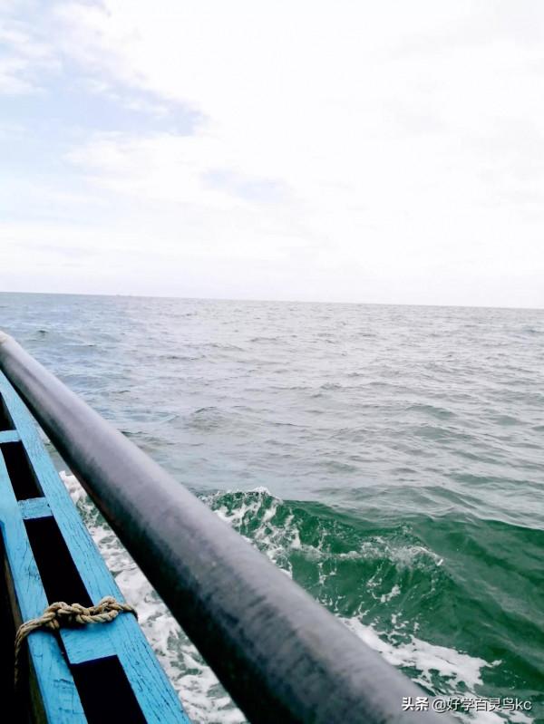 體驗出海打漁的樂趣 體驗出海打漁的樂趣