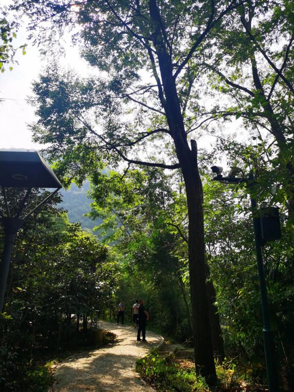 小河灣一遊 小河灣一遊