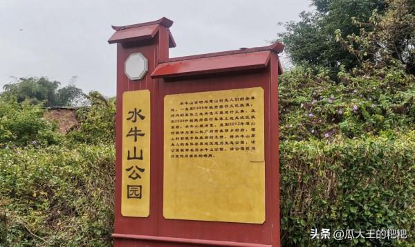 由原來墳區改建的水牛山公園