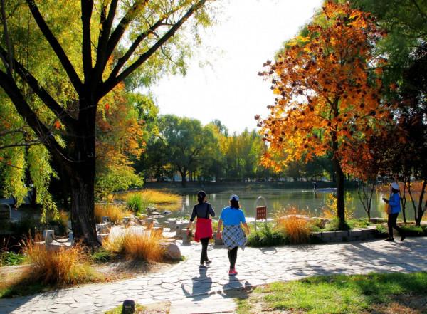 北京玉淵潭公園:深秋美景醉煞人 #秋日好時光##小生活,大財富# 北京玉淵潭公園:深秋美景醉煞人 #秋日好時光##小生活,大財富#