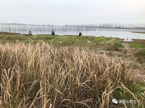 那一夜月亮好圓好亮 那一夜月亮好圓好亮