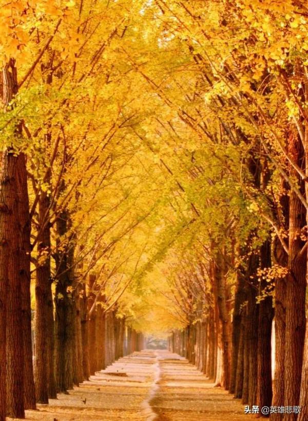 沙子如此緊俏，價格連年瘋漲，為何不去沙漠中運輸或到黃河裡採？