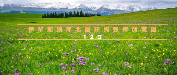 2022全年53條自駕路線上線，每一條都美哭了！你想要的，我們都有