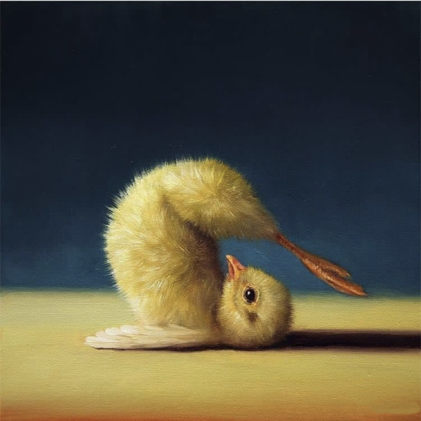 會瑜伽的小黃雞,在二次元動畫技術的加成之下,想象也成為了現實 會瑜伽的小黃雞,在二次元動畫技術的加成之下,想象也成為了現實