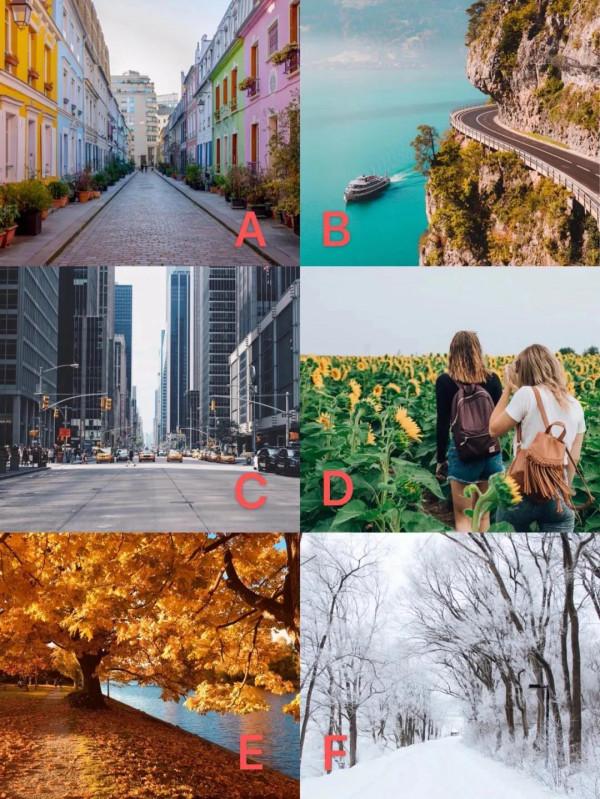 選擇哪條路，你就是什麼性格！對不？