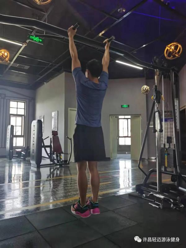 背部的訓練動作有哪些?該怎麼做 背部的訓練動作有哪些?該怎麼做