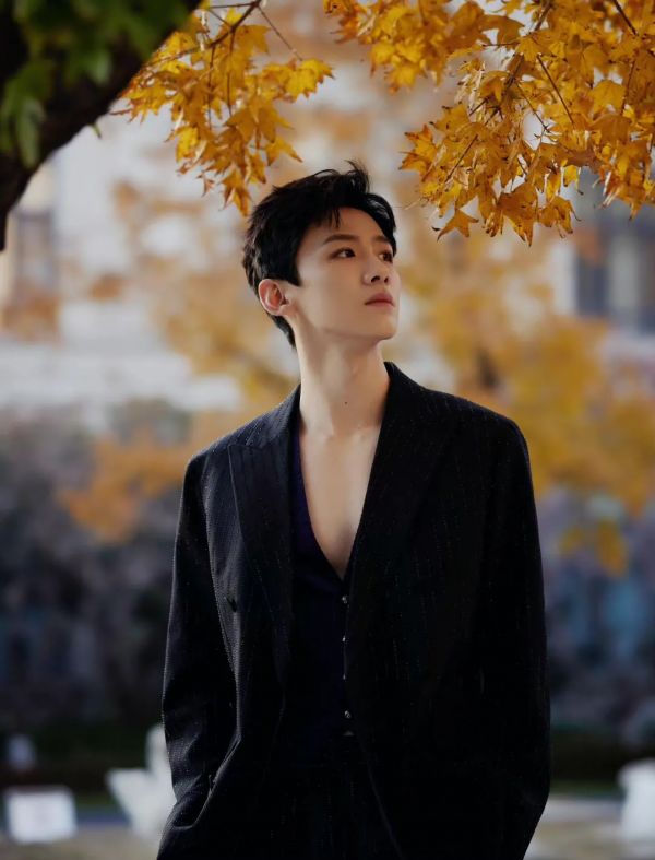 沸騰之夜的女神們：趙雅芝典雅，楊穎顏值回春，50歲楊鈺瑩太絕