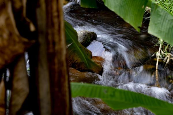 陰天過路石門森林公園
