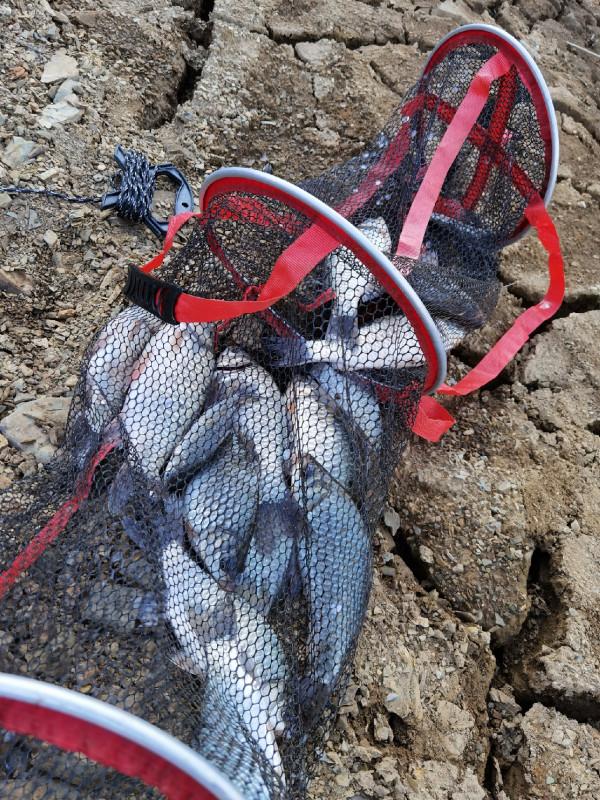 官莊水庫野釣爆護之旅,看看大師如何使用者實踐來證明 官莊水庫野釣爆護之旅,看看大師如何使用者實踐來證明