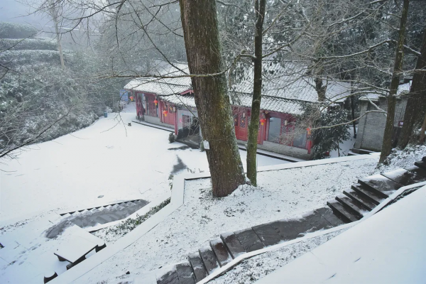 元旦最強攻略出爐！小眾美景、愜意度假、全家出遊都有，拿走去耍