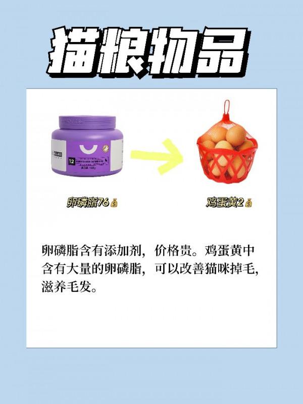 貓咪這些便宜好用的東西你還不知道嗎？