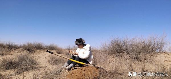 靠養殖到底能不能致富？江豔實話實說，再聽聽她的致富經