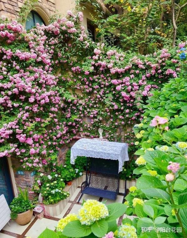 買房買一樓，帶個下沉式庭院，面積不用太大，日子越過越悠哉