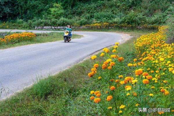 武定己衣打造“最美鄉村公路”